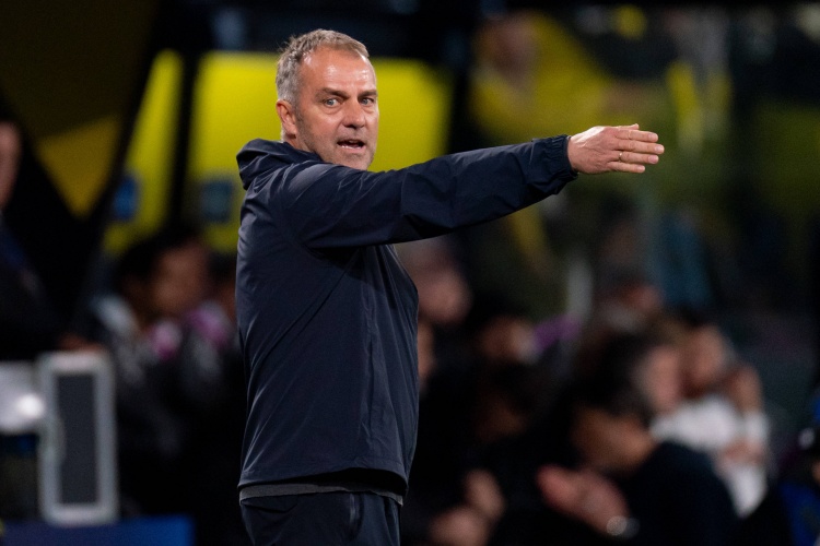 msn, 向他们展示 msn, 向他们展示